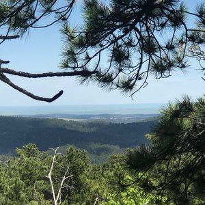 Meet your Posher, Sally